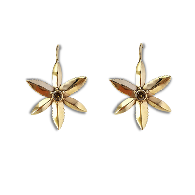 Gumleaf and Nut Earrings - 9ct Yellow Gold